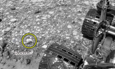 Curiosity ��������� ������� ������������ ���������� � ��������� ������ �����