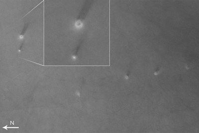 ����������� ������� ������ ������� ������ �� �����