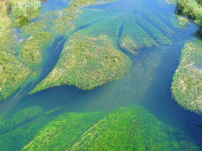 ����-������� ��������� ������������ �� ��������� ��������� � ��������� �����